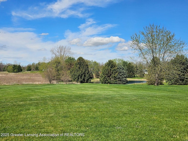 9466 W Grand River Ave, Grand Ledge, MI 48837 - view of yard