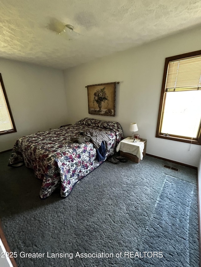 9466 W Grand River Ave, Grand Ledge, MI 48837 - carpeted bedroom featuring a textured ceiling and visible vents