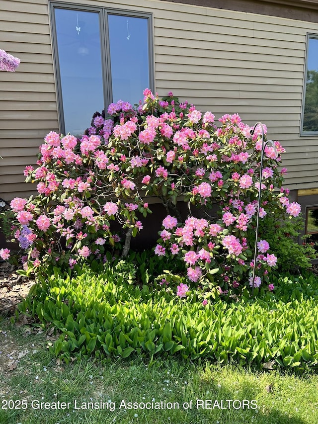 9466 W Grand River Ave, Grand Ledge, MI 48837 - view of details