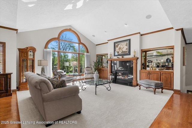 3012 Appaloosa Way, Lansing, MI 48906 - living room with a textured ceiling, ornamental molding, wood finished floors, and lofted ceiling
