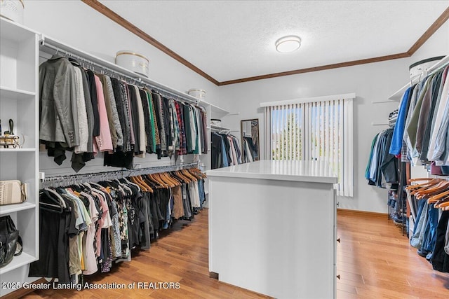 3012 Appaloosa Way, Lansing, MI 48906 - walk in closet with light wood-type flooring