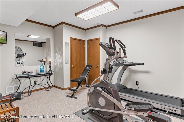 3012 Appaloosa Way, Lansing, MI 48906 - exercise area with baseboards, ornamental molding, carpet flooring, and visible vents