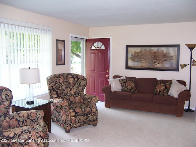view of carpeted living area