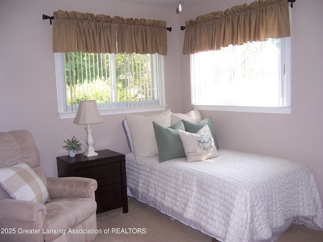 bedroom featuring carpet floors