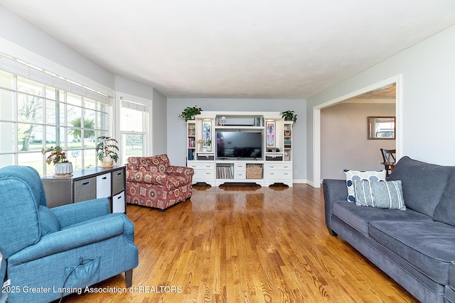 living room with wood finished floors