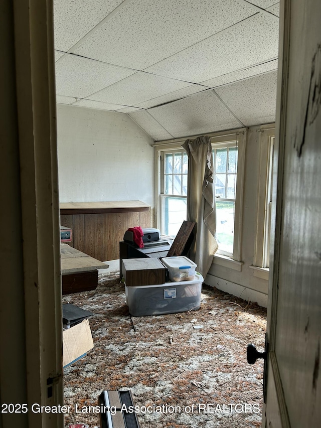 miscellaneous room featuring vaulted ceiling and a drop ceiling