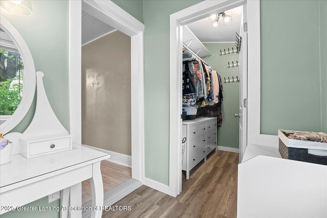 bathroom featuring baseboards, a spacious closet, and wood finished floors