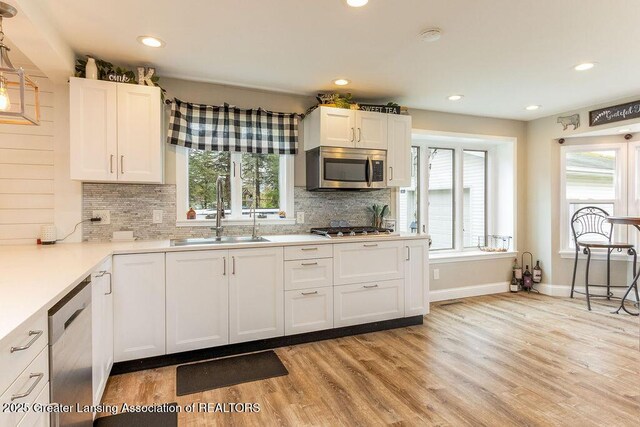 1061 E Sherwood Rd, Williamston, MI 48895 - kitchen featuring appliances with stainless steel finishes, a sink, decorative backsplash, light wood-style flooring, and recessed lighting