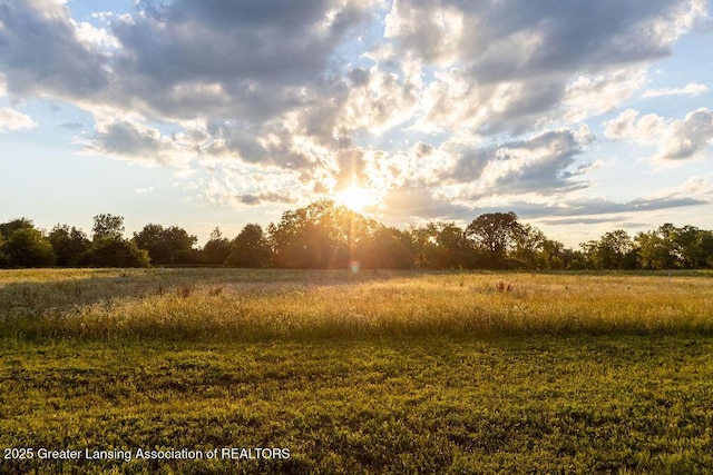 1061 E Sherwood Rd, Williamston, MI 48895 - view of local wilderness featuring rural landscape