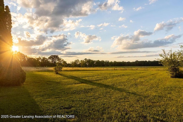 1061 E Sherwood Rd, Williamston, MI 48895 - view of local wilderness featuring rural landscape