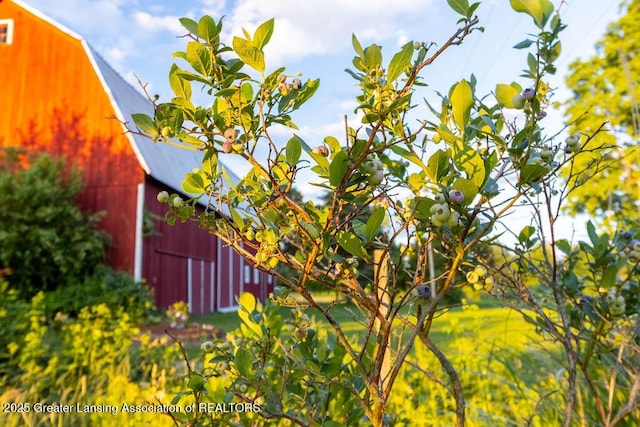 1061 E Sherwood Rd, Williamston, MI 48895 - view of barn