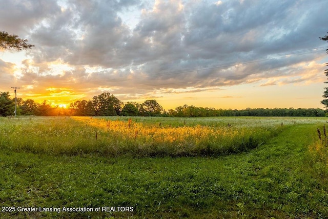 1061 E Sherwood Rd, Williamston, MI 48895 - view of nature featuring rural landscape