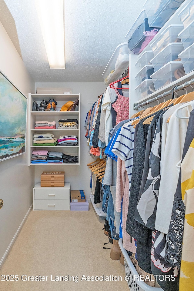 6032 Vienna Way, Lansing, MI 48917 - walk in closet featuring carpet floors