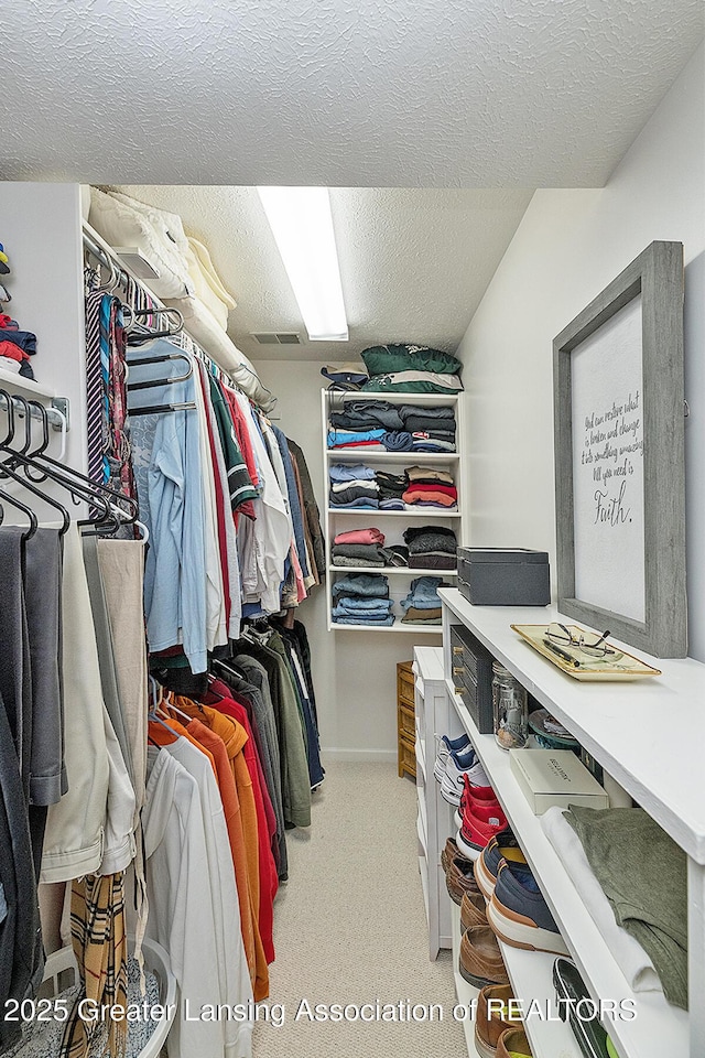 6032 Vienna Way, Lansing, MI 48917 - view of spacious closet