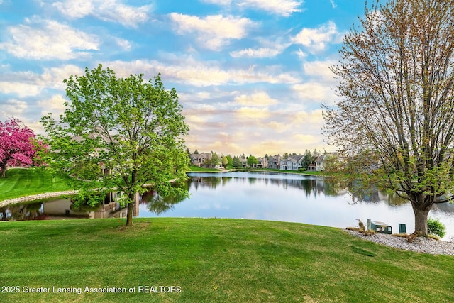 6032 Vienna Way, Lansing, MI 48917 - property view of water