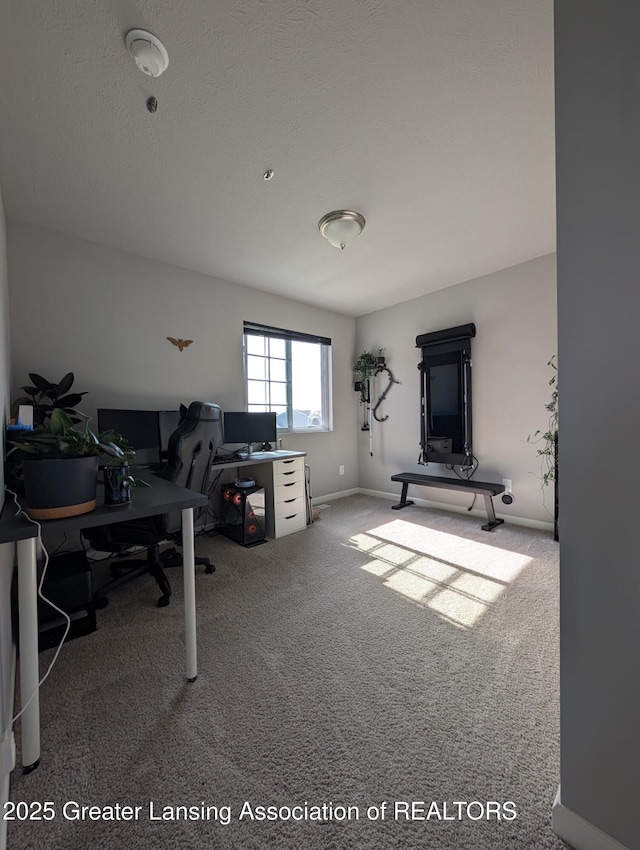 850 Saint Johns Chase, Grand Ledge, MI 48837 - home office with carpet and baseboards