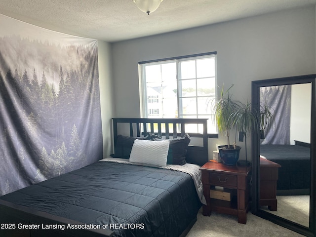 850 Saint Johns Chase, Grand Ledge, MI 48837 - carpeted bedroom featuring a textured ceiling