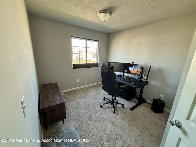 850 Saint Johns Chase, Grand Ledge, MI 48837 - carpeted home office featuring a textured ceiling and baseboards