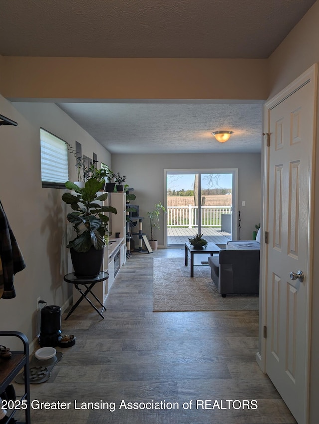 850 Saint Johns Chase, Grand Ledge, MI 48837 - living room with wood finished floors