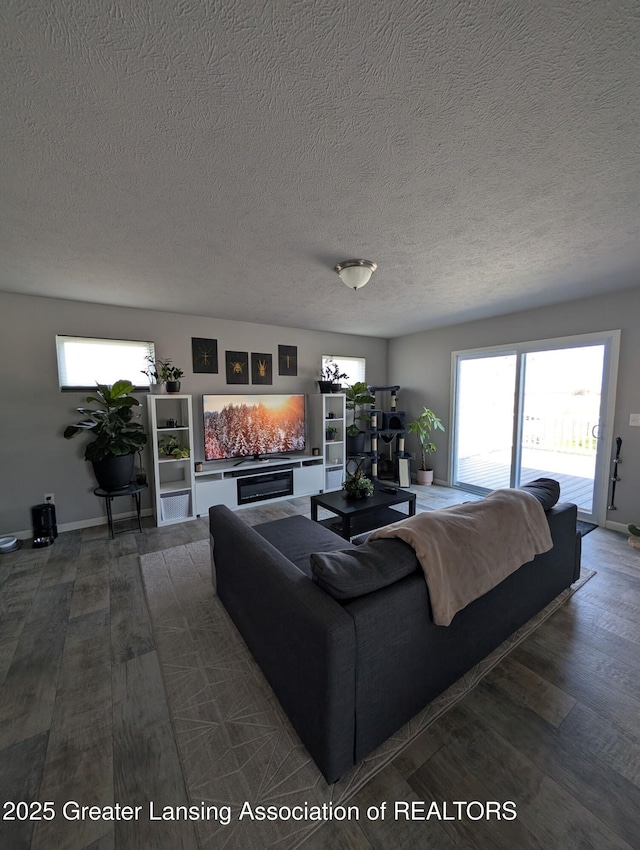 850 Saint Johns Chase, Grand Ledge, MI 48837 - living room with dark wood-type flooring, a textured ceiling, and healthy amount of natural light