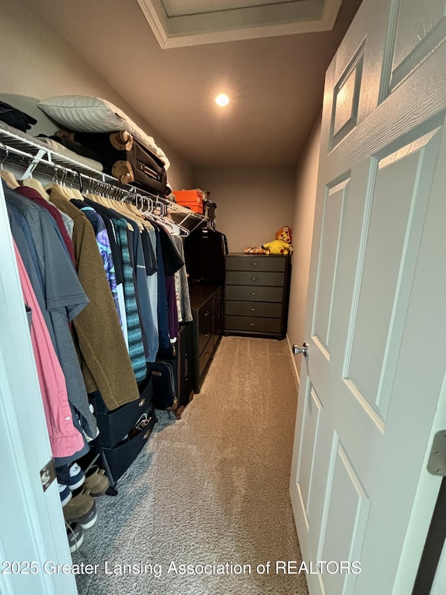 850 Saint Johns Chase, Grand Ledge, MI 48837 - spacious closet featuring light carpet