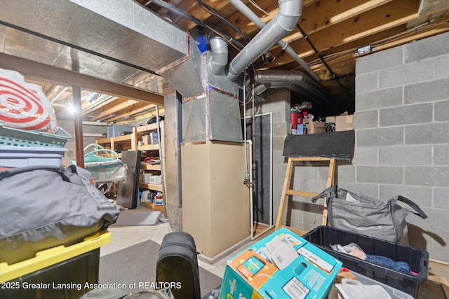 1212 Sandhill Dr, Dewitt, MI 48820 - view of unfinished basement