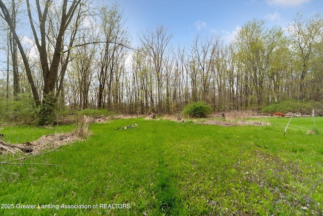 1212 Sandhill Dr, Dewitt, MI 48820 - view of yard