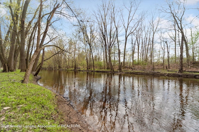 1212 Sandhill Dr, Dewitt, MI 48820 - view of water feature