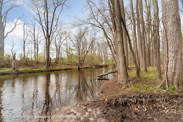 1212 Sandhill Dr, Dewitt, MI 48820 - property view of water