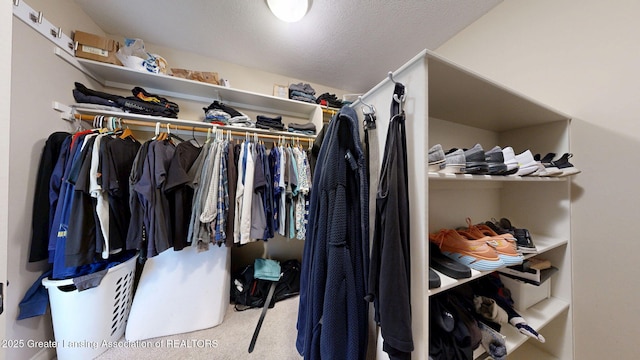 walk in closet with carpet floors