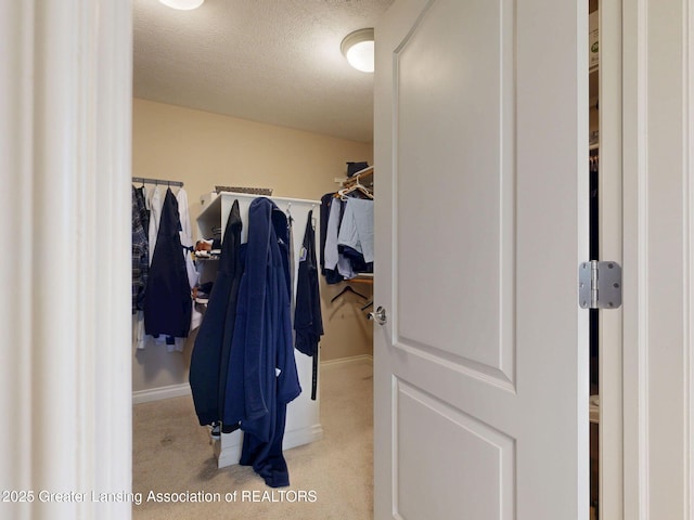 spacious closet with carpet floors