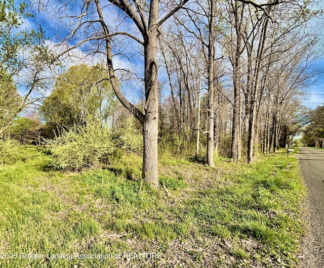 4230 Whittum Rd, Eaton Rapids, MI 48827