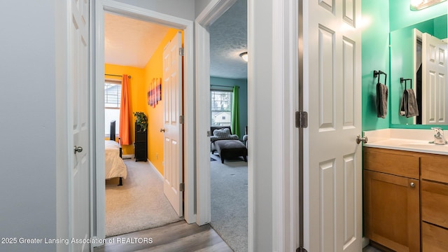 13799 Mead Creek Rd Unit 63D, Bath, MI 48808 - bathroom with connected bathroom, vanity, wood finished floors, a textured ceiling, and baseboards