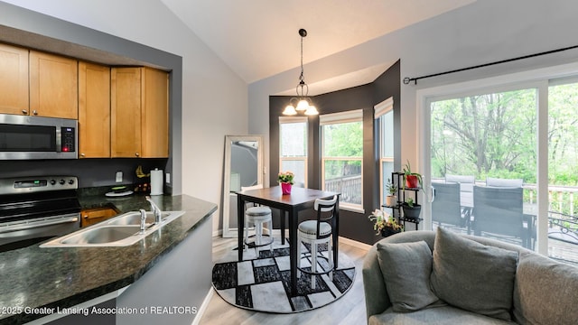13799 Mead Creek Rd Unit 63D, Bath, MI 48808 - kitchen featuring appliances with stainless steel finishes, lofted ceiling, light wood-style flooring, a sink, and pendant lighting