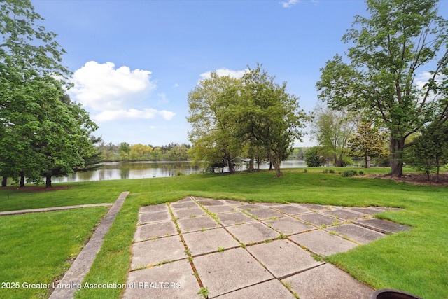 4 Locust Ln, Lansing, MI 48911 - photo 49