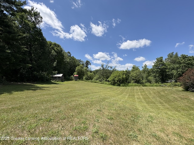 5205 N Bailey Rd, Coral, MI 49322 - view of green lawn featuring a wooded view