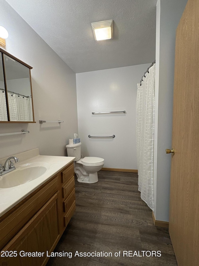 5205 N Bailey Rd, Coral, MI 49322 - bathroom with wood finished floors, vanity, and a textured ceiling