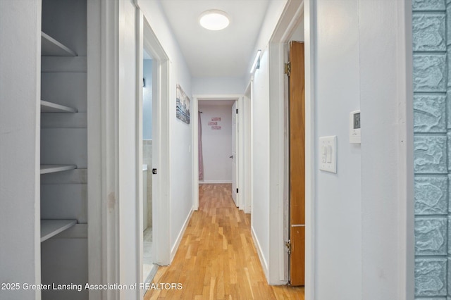 900 Holten St, Lansing, MI 48915 - corridor with light wood-style floors