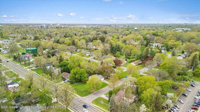 bird's eye view