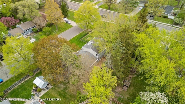 bird's eye view