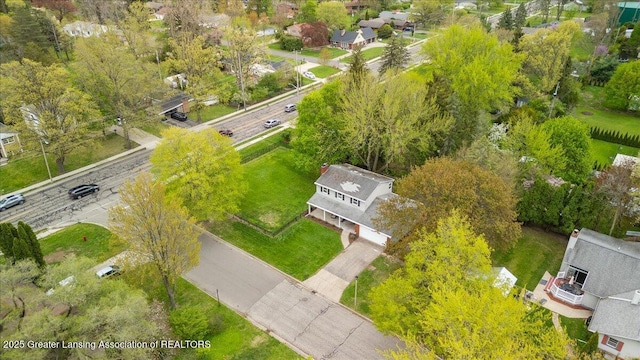 bird's eye view