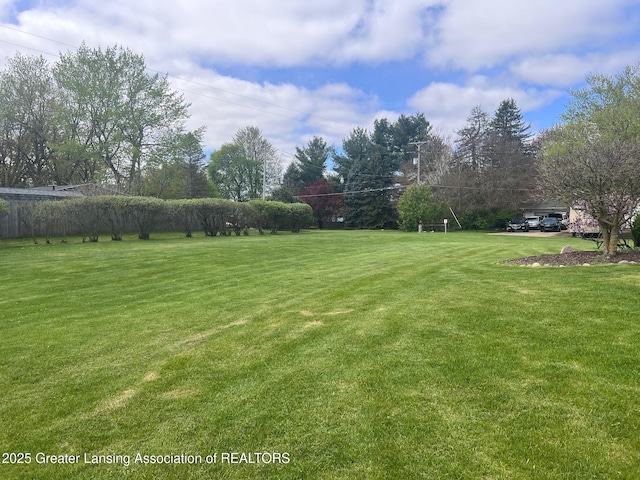 view of grassy yard