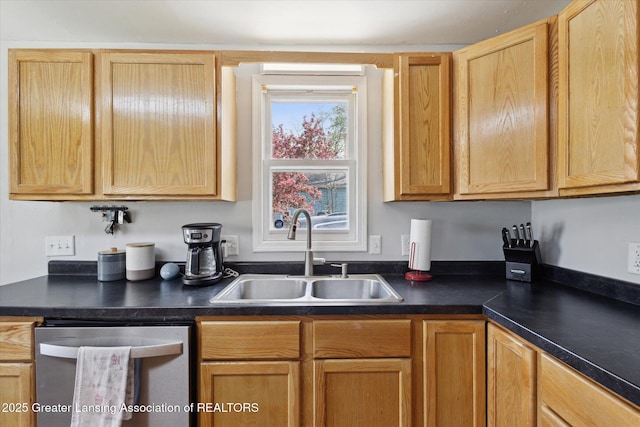 kitchen with dark countertops, a sink, and stainless steel dishwasher
