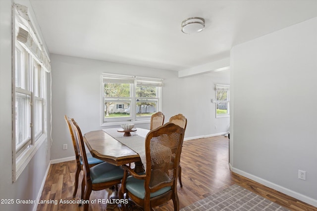 dining area featuring baseboards, a healthy amount of sunlight, and wood finished floors