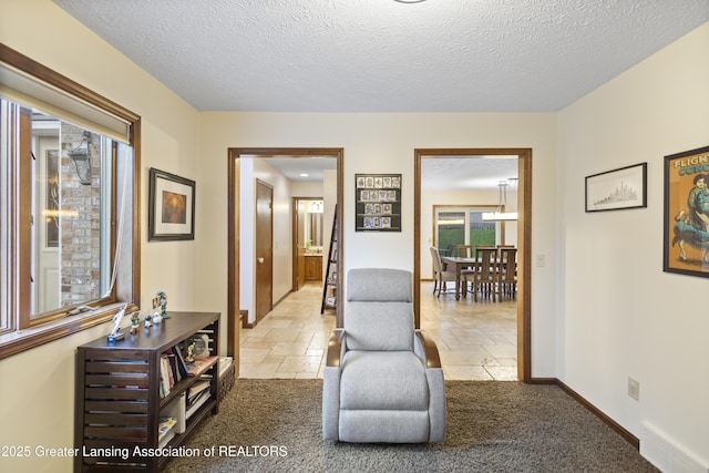 living area featuring a textured ceiling, baseboards, and stone tile floors