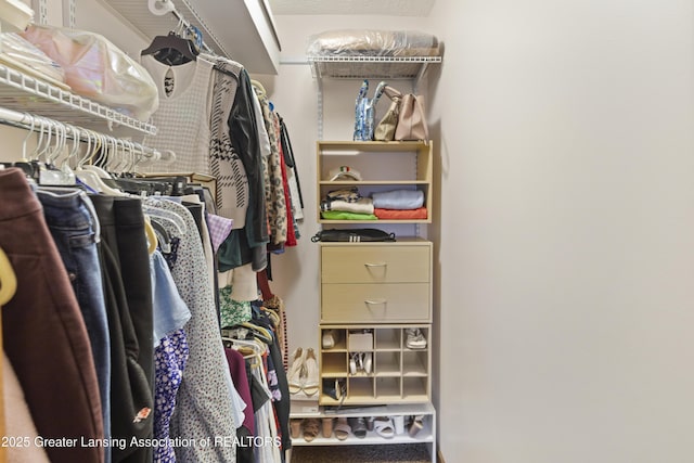view of walk in closet