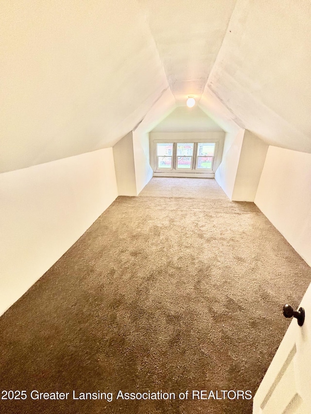bonus room featuring vaulted ceiling and carpet floors