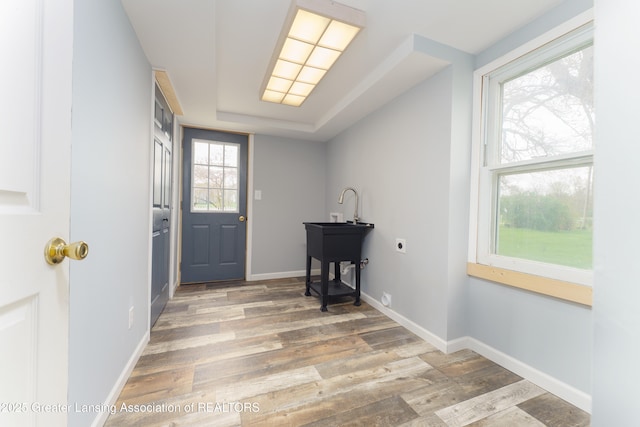 2820 N Lima Center Rd, Dexter, MI 48130 - doorway with wood finished floors, baseboards, and a raised ceiling