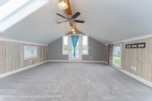 2820 N Lima Center Rd, Dexter, MI 48130 - additional living space with baseboards, wooden walls, and carpet floors
