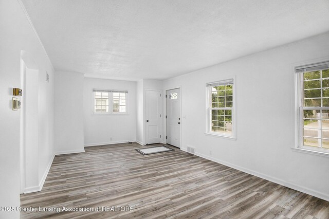 1124 Poxson Ave, Lansing, MI 48910 - foyer entrance featuring wood finished floors, plenty of natural light, and baseboards